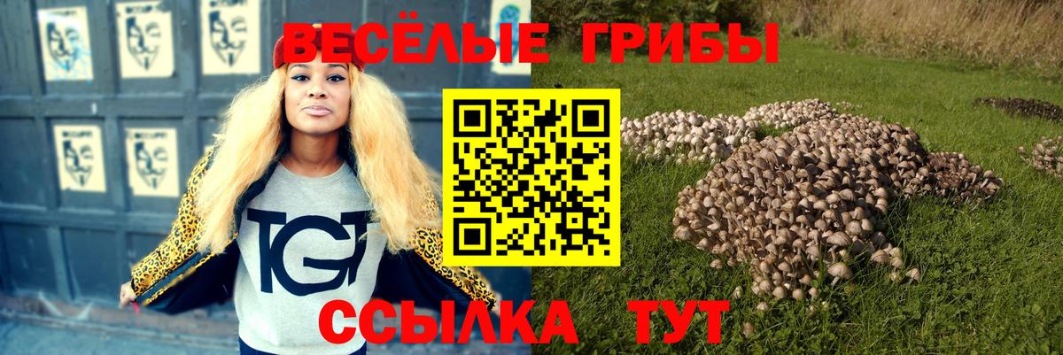 Галлюциногенные грибы прущие грибы Реж