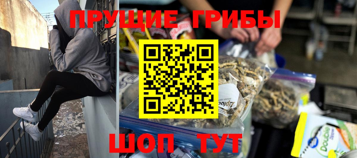 Галлюциногенные грибы Psilocybe  Вход с VPN  Реж 